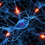 Neuroscientists Can Now Design False Memories and Plant Them Into Animal Brains Neuroscientists Can Now Design False Memories and Plant Them Into Animal Brains
