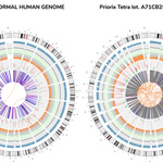 MEDICAL HORROR: Genetic sequencing of common vaccine finds entire male human genome from aborted human baby… \